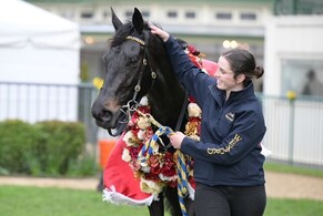 Dark Destroyer dominant in Group One victory