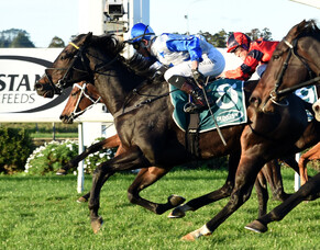 Rockspell ready for next step