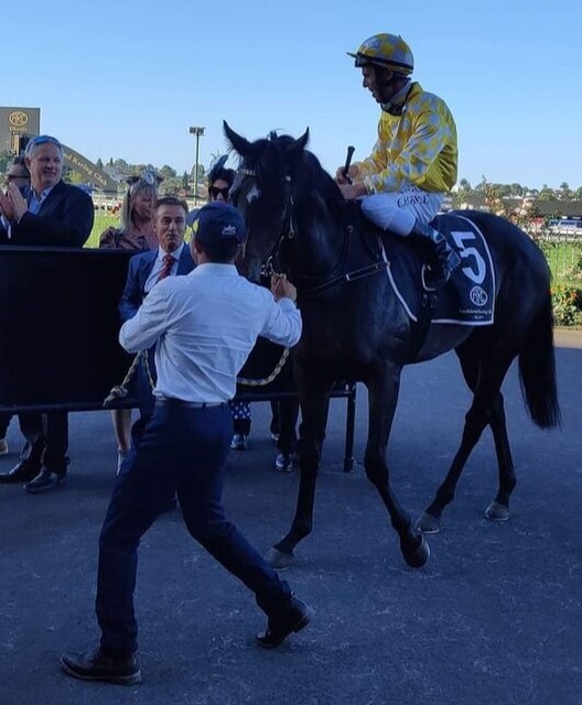 Jitu leading Force of Will into the winners circle following her win on Auckland Cup Day.