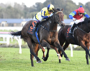 Te Rapa Runners - 4/10