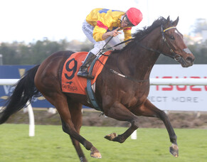 Stablemates hard to split in open sprint