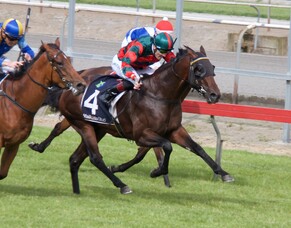 Pukekohe Park Runners - 22/9