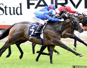 Taming The Shrew Scores on Home Track