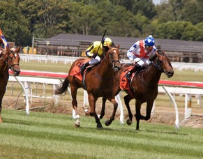 Te Aroha Runners - 30/10