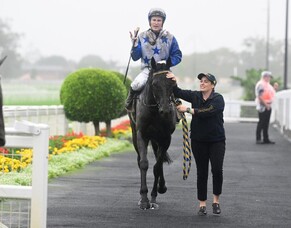 Meet the Team  - Megan Fenwick