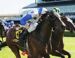 Ellerslie Boxing Day Runners