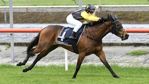 I&rsquo;munstoppable too quick in Matamata return