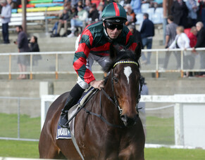 Stable on trail of Group One double