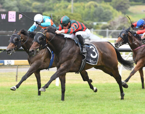 Te Rapa Runners - 8/2