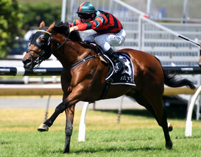 Rocket Spade crowned Ellerslie&#039;s Horse of the Year