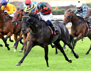 Spring Heat Delivers in King&#039;s Plate