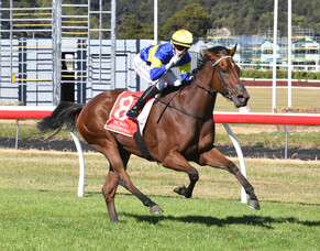 Major prize for Grail Seeker at Trentham