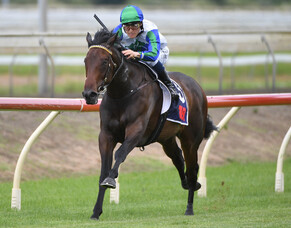 Smart's An Understatement