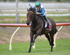 Smart&#039;s An Understatement