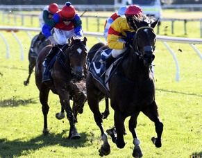 Te Rapa Runners - 3/8