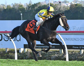 Star Treasure wins at Te Rapa