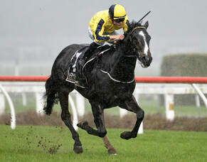 Ribkraka brings up win #80 for Wexford&#039;s 24/25 Season