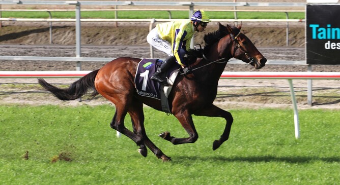 Yuto piloting Ozark to a stylish win at Matamata Races. - Image captured by Lauren Russo.