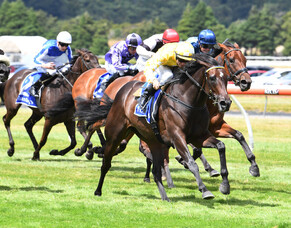 Force of will primed for Vinery