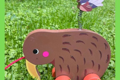 Whats New - Wheelie Kiwi and Pīwakawaka Friend