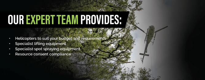 Environment and Conservation 