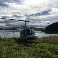 Bell 206 B3 (Jet Ranger)