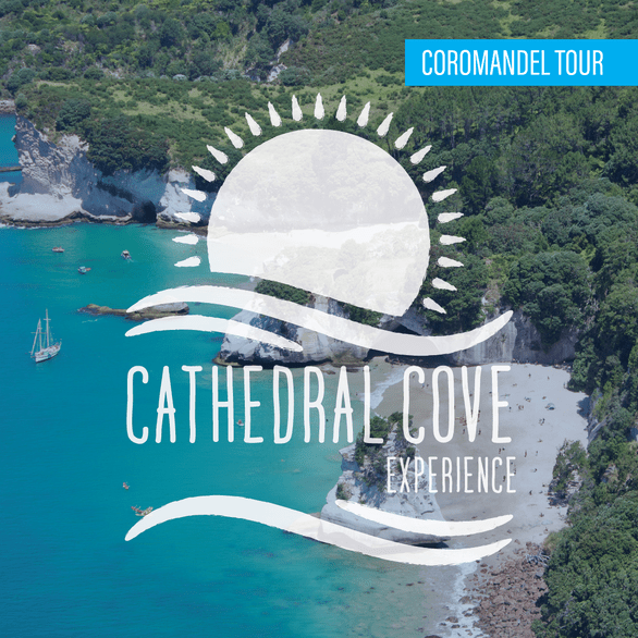 cathedral cove scenic flights