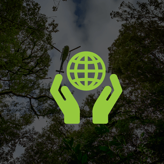 Environmental & Conservation