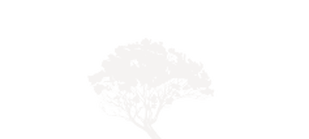 The Chefs Table Logo