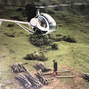 helicopter over forrest