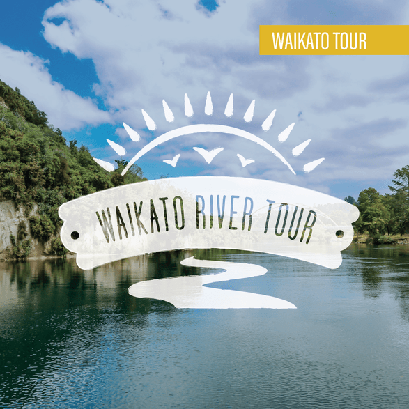 waikato scenic flights