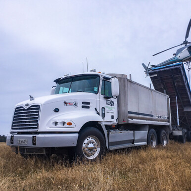 truck on farm
