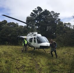 Helicopter scenic flights