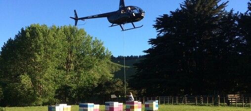 helicopter lifting beehives