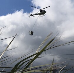 Helicopter spraying fertiliser