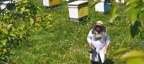 beekeeping