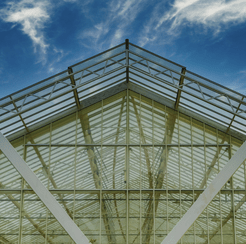 Glasshouse Application - Learn more