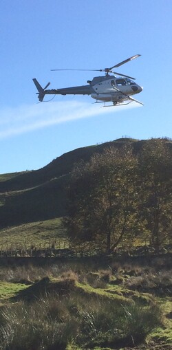 Helicopter spraying