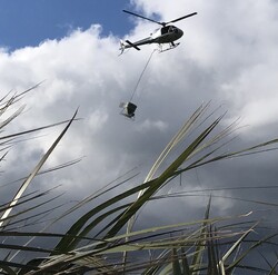 Fertiliser Application - Learn more