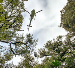 helicopter over forrest