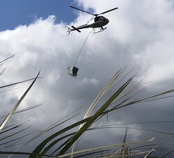 Helicopter spraying fertiliser