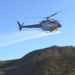 Helicopter spraying