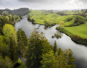 TECT Trustee Election Underway