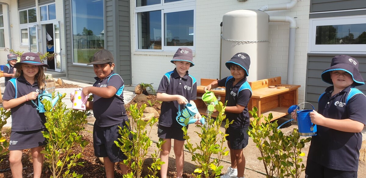 Pillans Point School TECT