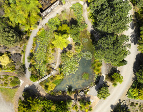 Last chance to have say in TECT Election