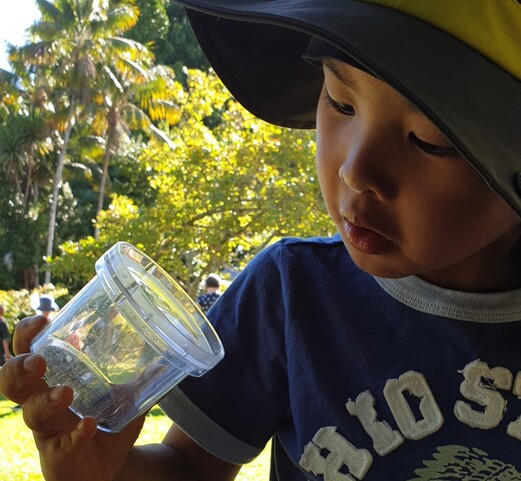 Boys looks into clear container at bug caught