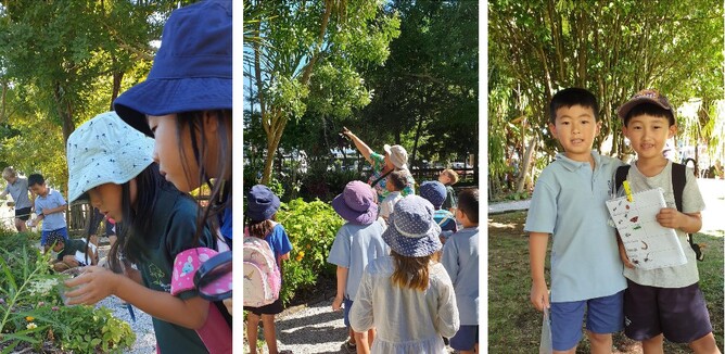 Three photos of children exploring garden for bugs