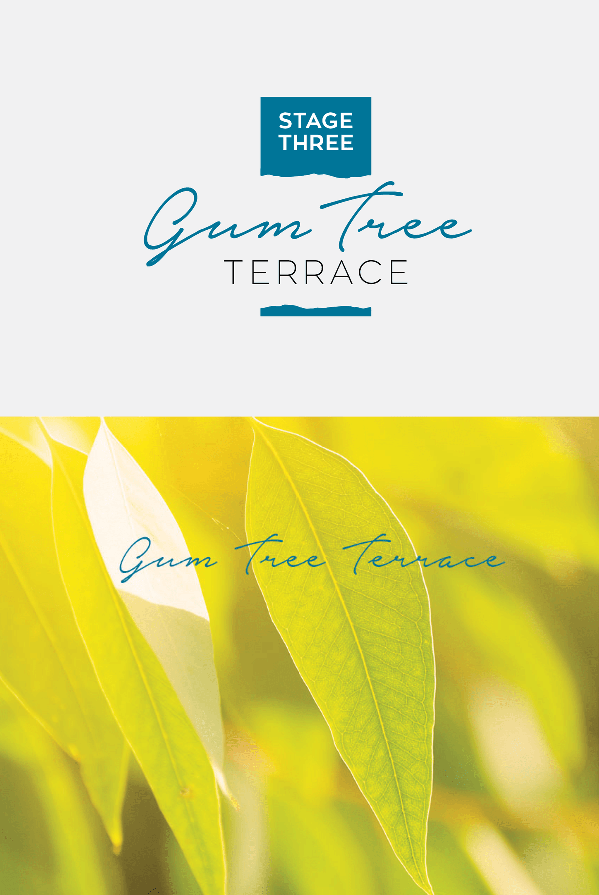 Terrace Views Marketing Portfolio Metro Marketing