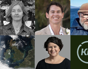 Lessons from the Trailblazers