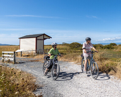Image for The Great 4  day Hauraki Rail Trail tour